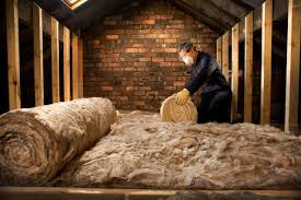 Best Attic Insulation Installation  in Dublin, GA